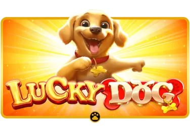 2888gam